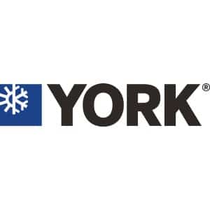 york york